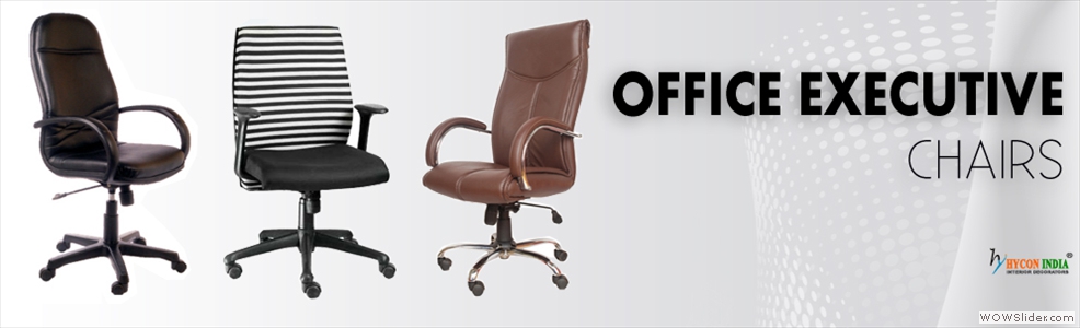 Office Executive